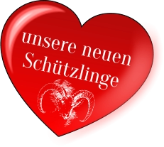 unsere neuen Schützlinge