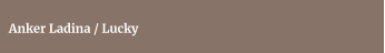 Anker Ladina / Lucky