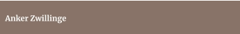 Anker Zwillinge