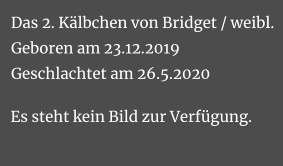 Das 2. Kälbchen von Bridget / weibl.Geboren am 23.12.2019Geschlachtet am 26.5.2020 Es steht kein Bild zur Verfügung.