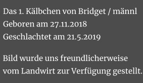 Das 1. Kälbchen von Bridget / männlGeboren am 27.11.2018Geschlachtet am 21.5.2019 Bild wurde uns freundlicherweise vom Landwirt zur Verfügung gestellt.