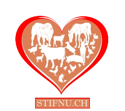 STIFNU.CH STIFNU.CH