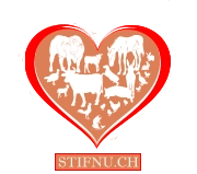 STIFNU.CH STIFNU.CH