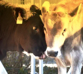 zusammen mit Dino - TSP April 2014