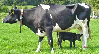 zusammen mit klein Sancho - September 2012