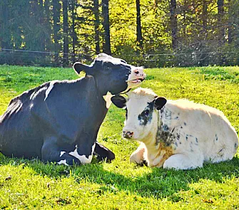 zusammen mit Tochter Najya-Sima - November 2014