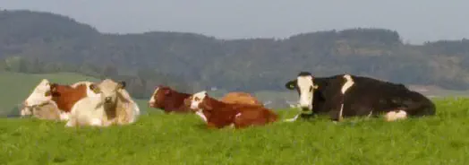 eine glückliche kleine Familie - Oktober 2019