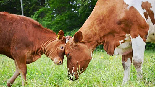 zusammen mit ihrem Mädchen Sonas - Mai 2019