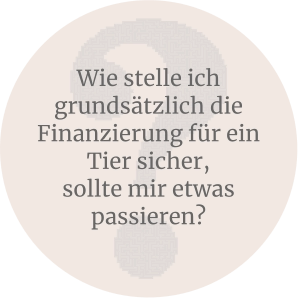 Wie stelle ich grundsätzlich die Finanzierung für ein Tier sicher,  sollte mir etwas passieren?